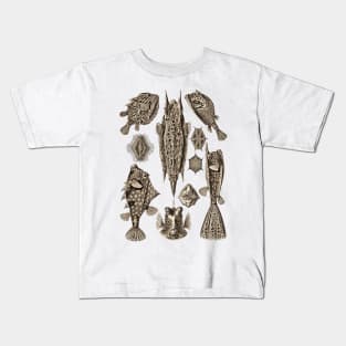 Ernst Haeckel Ostraciontes Fish  Wenge Kids T-Shirt